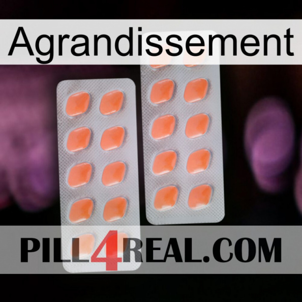 Enlargenexx 27